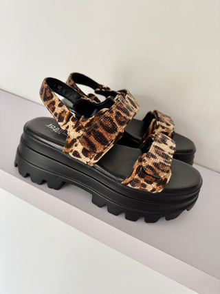 Chaussures